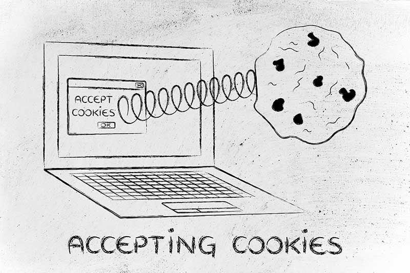 Acceptation des cookies et des paramètres du navigateur : message pop-up intrusif avec cookie sortant de l'ordinateur